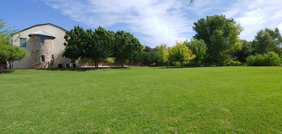 Mojave Land Maintenance - Photo 13