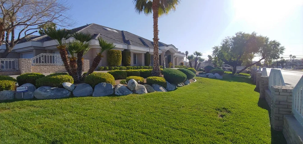Yard Maintenance by Mojave Land Maintenance - Photo 4