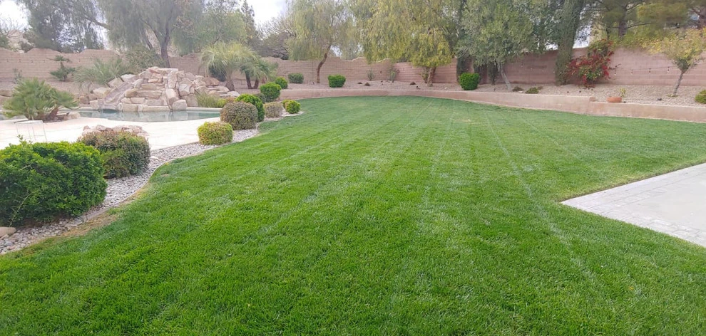 Yard Maintenance by Mojave Land Maintenance - Photo 7