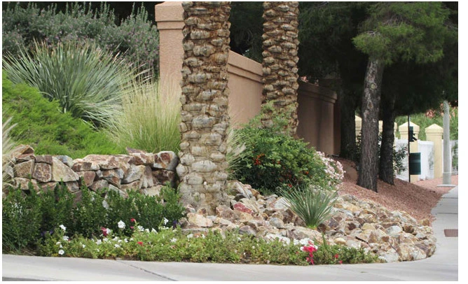Private Greens Of Nevada - Photo 7