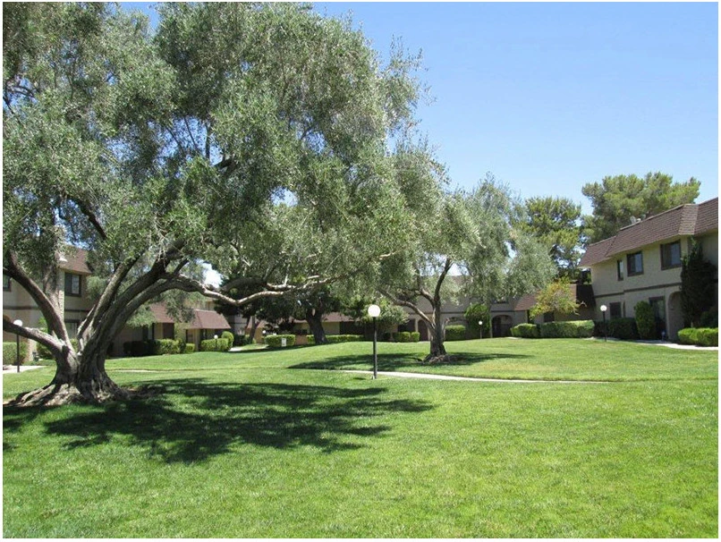 Private Greens Of Nevada - Photo 3