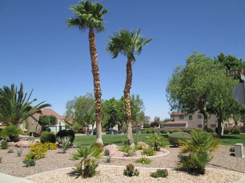 Private Greens Of Nevada - Photo 10