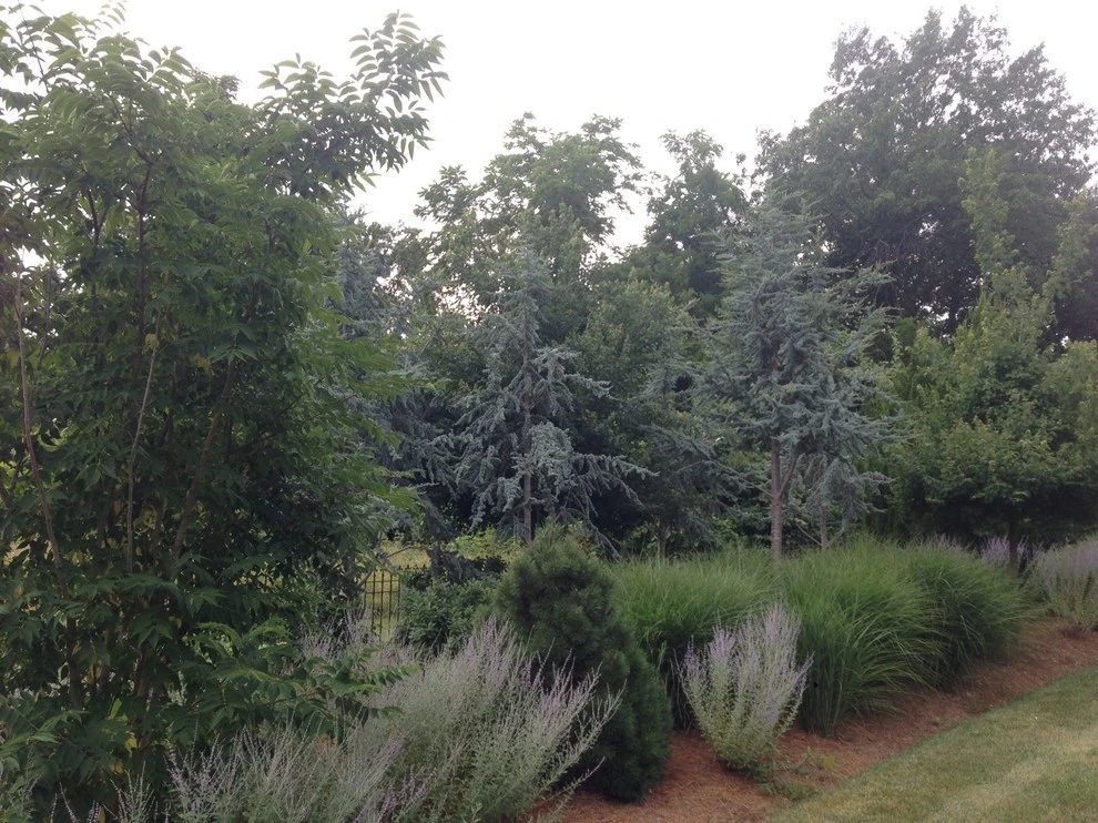 ProLawn Kansas City LLC - Photo 4