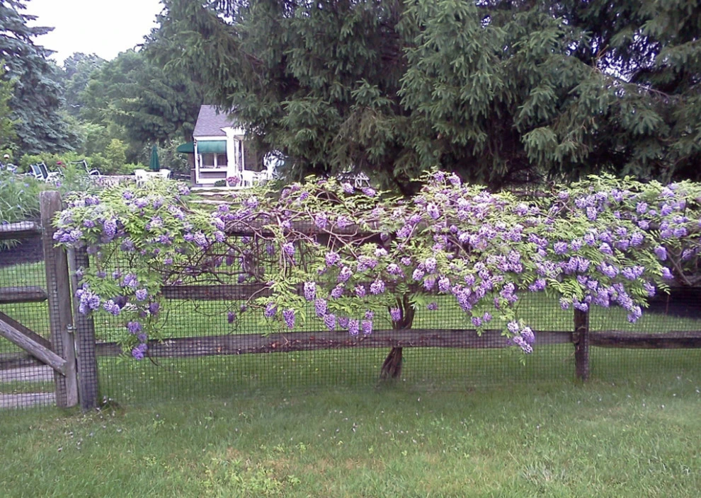 R-A-G Thyme Gardening - Photo 4