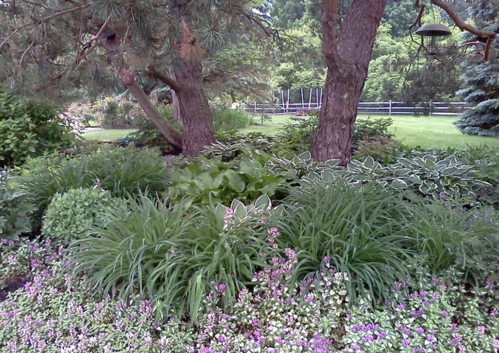 R-A-G Thyme Gardening - Photo 7