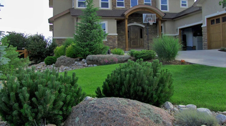 Raindance Landscaping - Photo 2