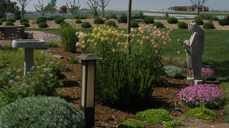 Raindance Landscaping - Photo 6