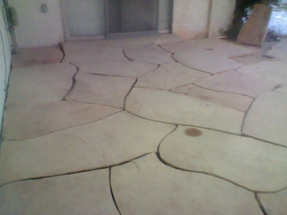 RCB Landscape, LLC. - Photo 3