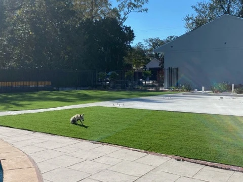 Backyard Synthetic Turf by Reeves Land Services LLC - Photo 4