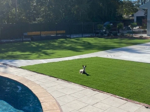 Backyard Synthetic Turf by Reeves Land Services LLC - Photo 8