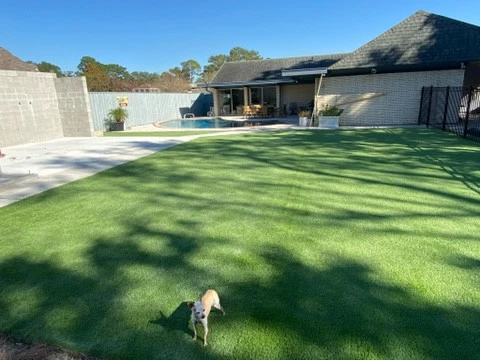 Backyard Synthetic Turf by Reeves Land Services LLC - Photo 9