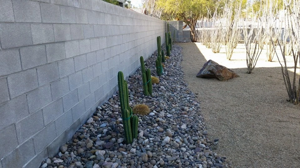 Landscape & Hardscape Projects by Results Landscape Services - Photo 15