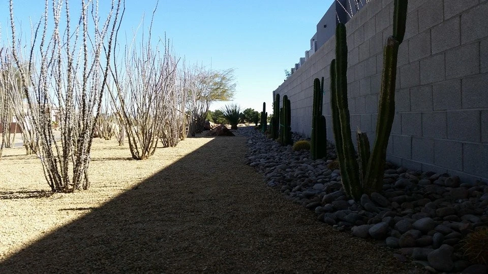 Landscape & Hardscape Projects by Results Landscape Services - Photo 10