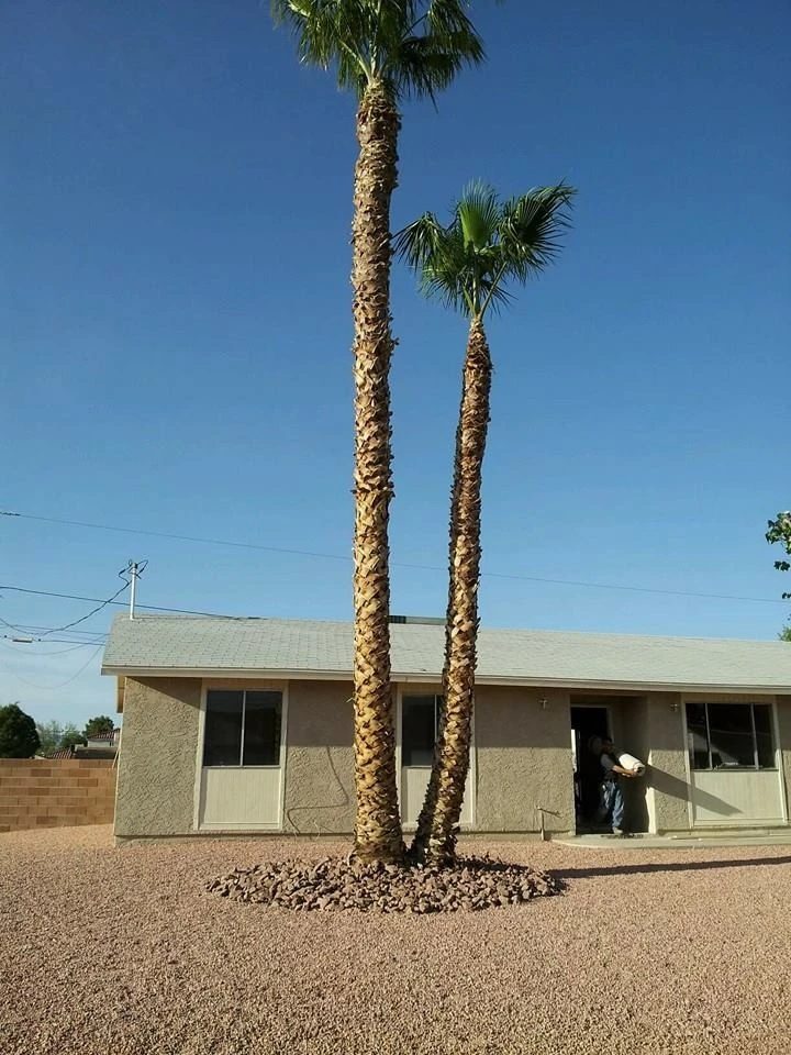 Landscape & Hardscape Projects by Results Landscape Services - Photo 14