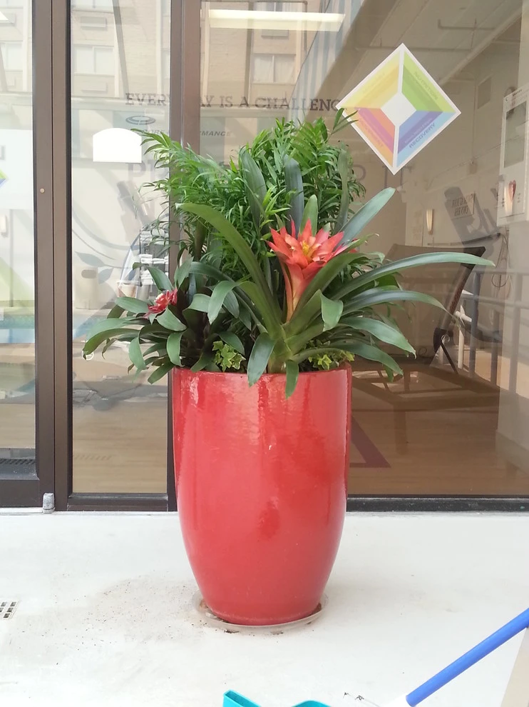 Container Gardening by Moore's Landscaping & Nursery - Photo 7