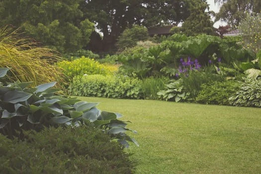 Moss Landscaping LLC - Photo 7