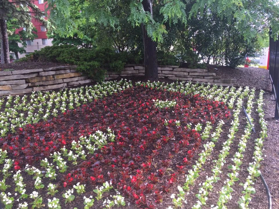 Landscape Design by Mow On The Go - Photo 4