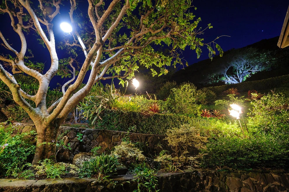 Mulkern Landscaping & Nursery - Photo 13