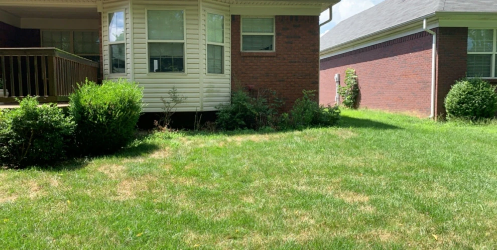 Mullaney Landscaping - Photo 3