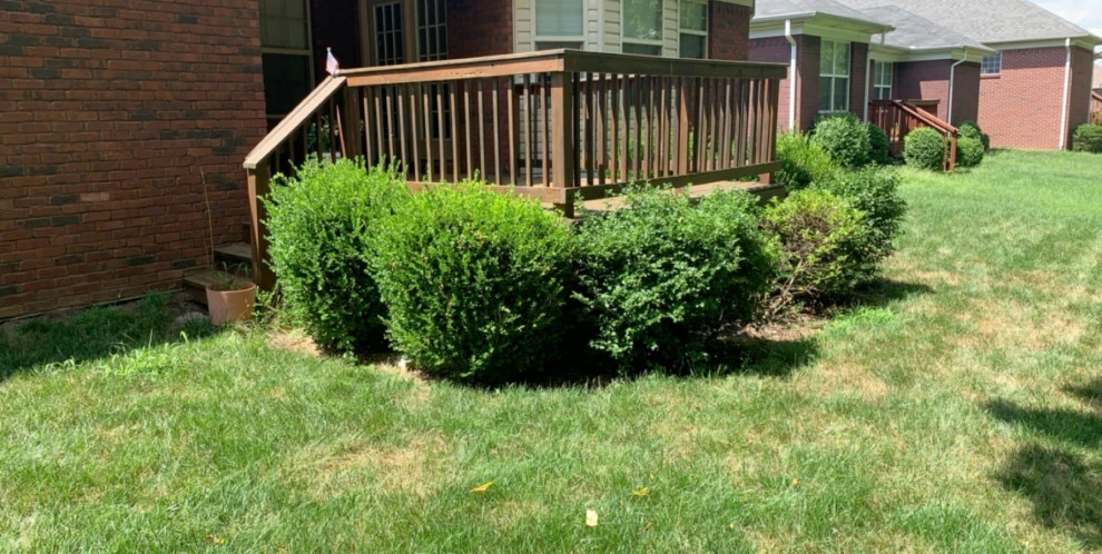 Mullaney Landscaping - Photo 2