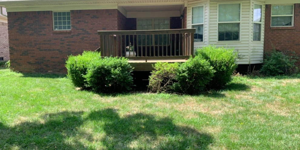 Mullaney Landscaping - Photo 11