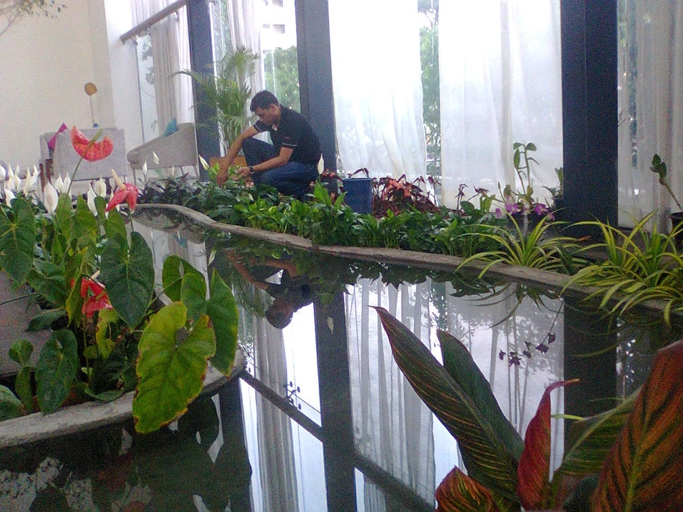 Nature In MIniature - Photo 6