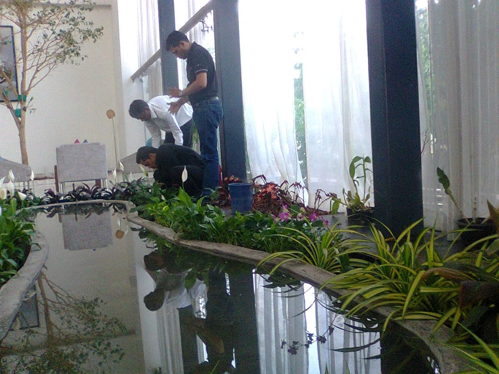Nature In MIniature - Photo 2