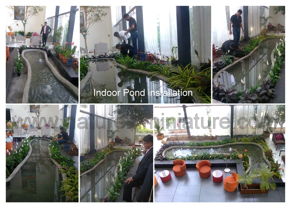 Nature In MIniature - Photo 7