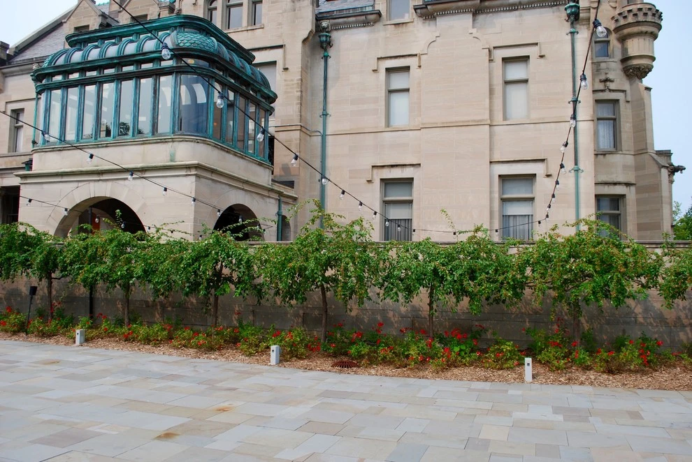 Landscape Design by Nelson Lawn And Landscape - Photo 6