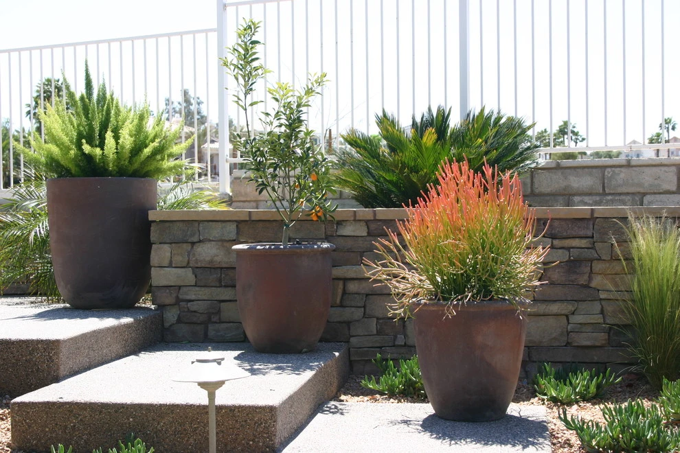 Previous Projects by Nevada Roseland Inc - Photo 23