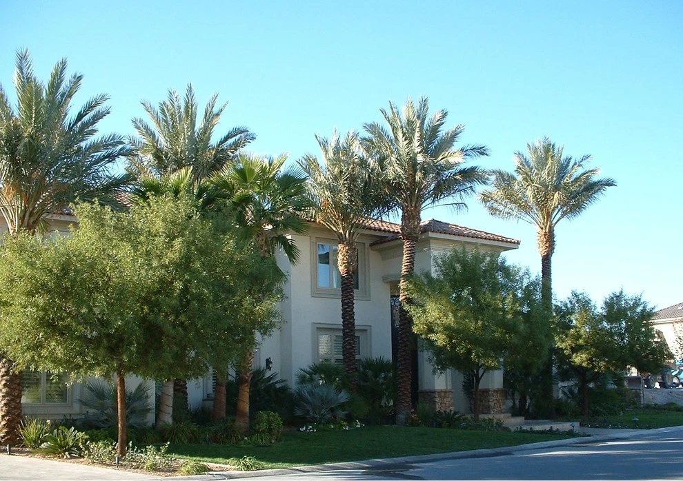 Previous Projects by Nevada Roseland Inc - Photo 18