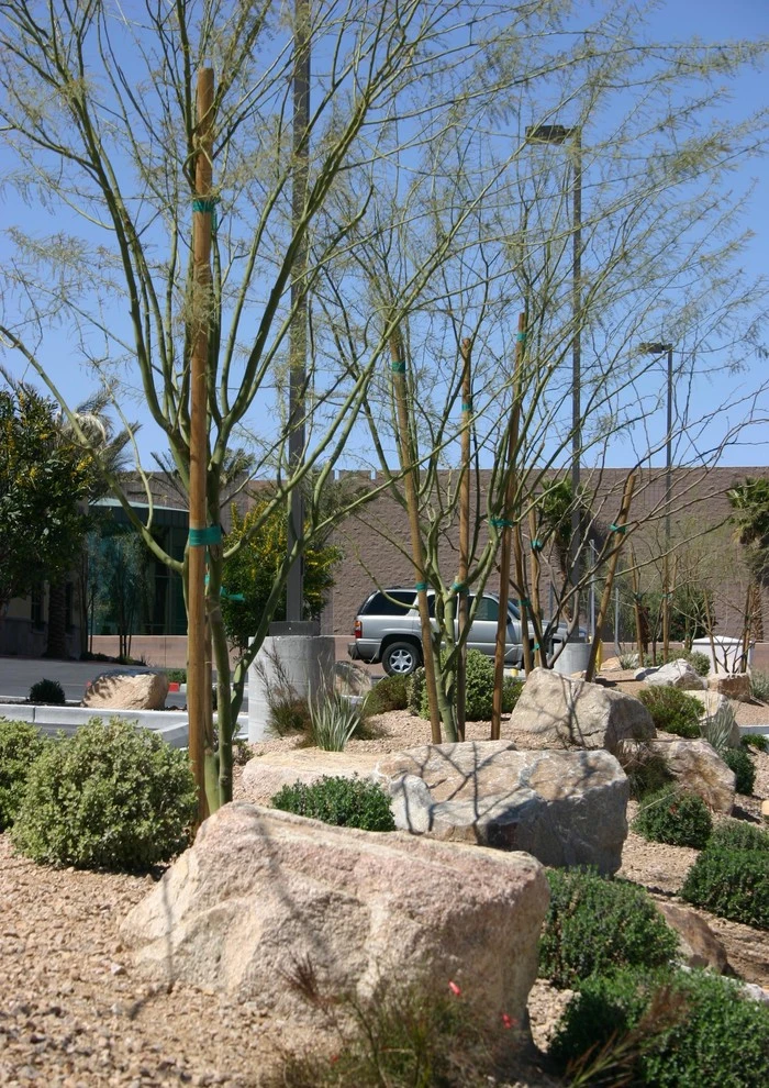 Previous Projects by Nevada Roseland Inc - Photo 20
