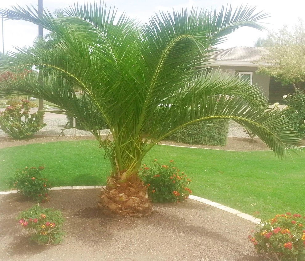 Landscapes by Sherwood Landscape Construction - Photo 26