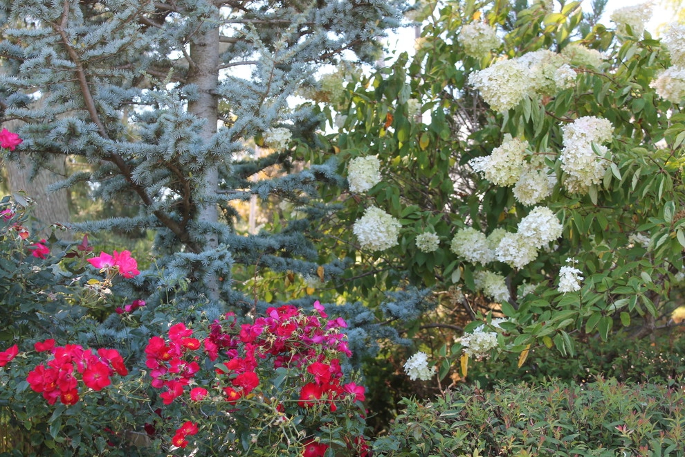 Coyle & Caron Landscape Architecture - Photo 3
