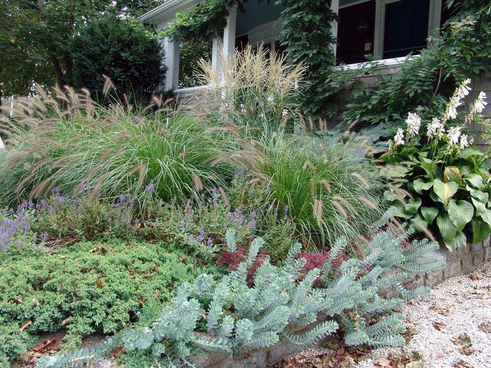 Perennial Garden by Coyle & Caron Landscape Architecture - Photo 5