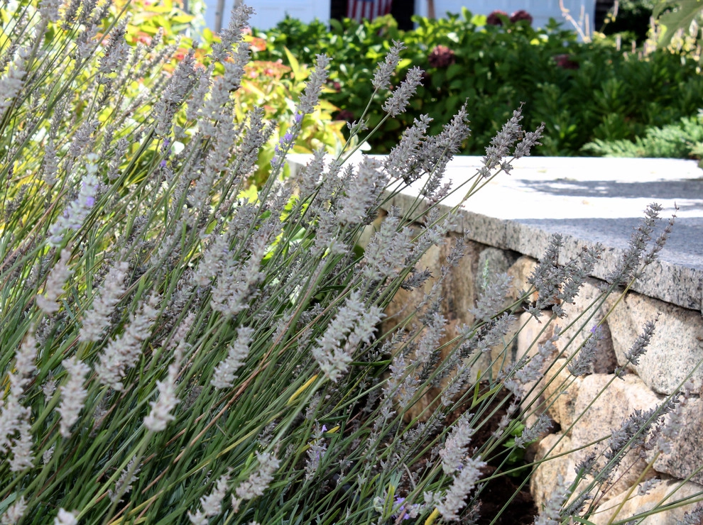 Coyle & Caron Landscape Architecture - Photo 5