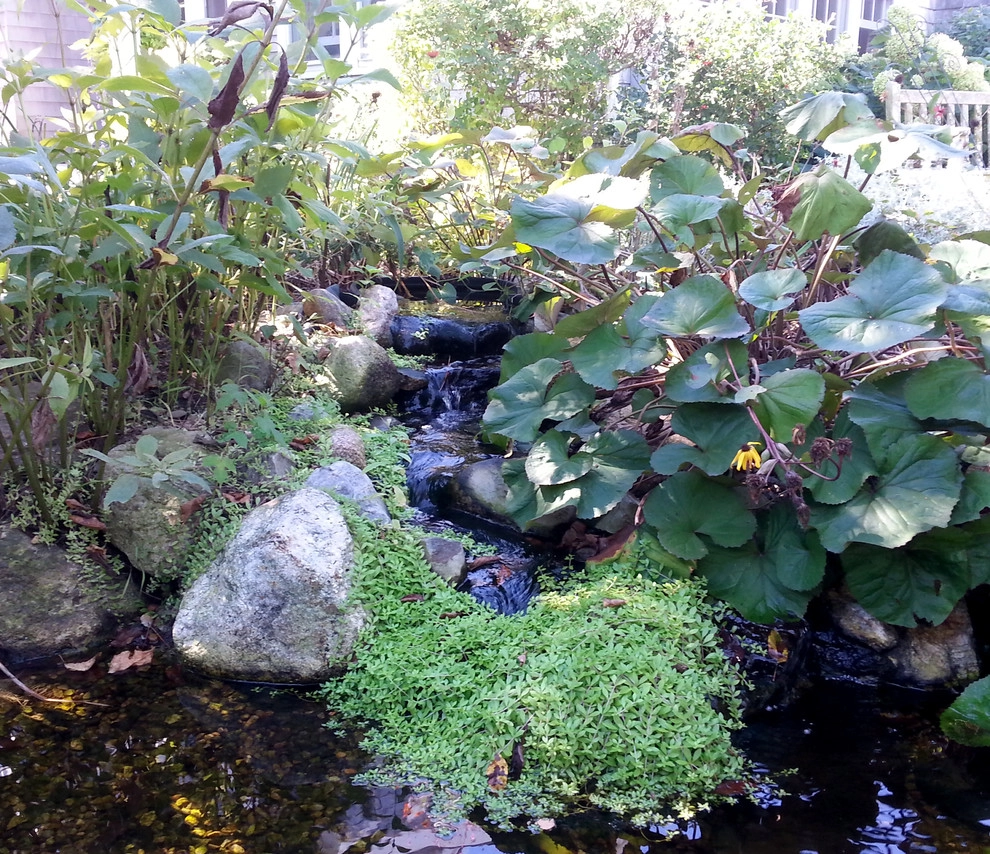 First Cliff Residence by Coyle & Caron Landscape Architecture - Photo 5