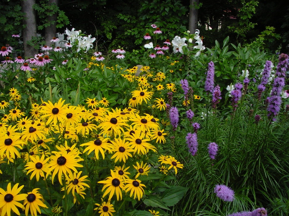 Perennial Garden by Coyle & Caron Landscape Architecture - Photo 3