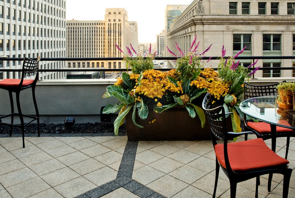 Chicago Roof Garden by Craig Bergmann Landscape Design - Photo 5