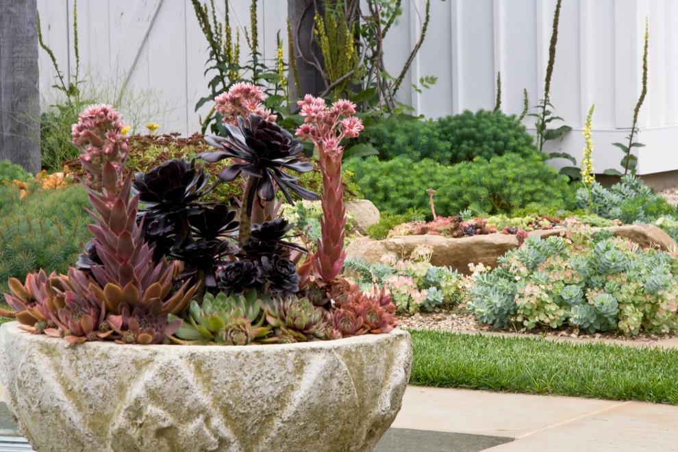 Artful Details by Craig Bergmann Landscape Design - Photo 10