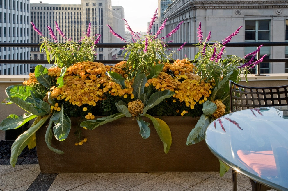 Chicago Roof Garden by Craig Bergmann Landscape Design - Photo 2