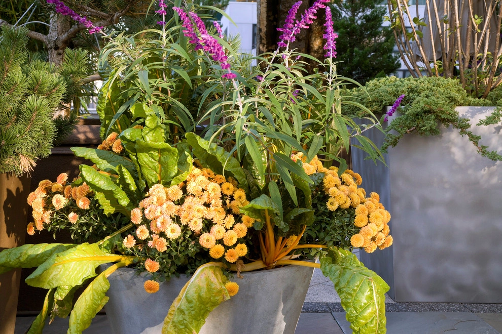 Chicago Roof Garden by Craig Bergmann Landscape Design - Photo 4