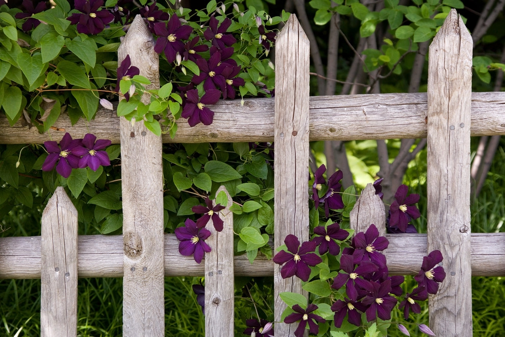 Artful Details by Craig Bergmann Landscape Design - Photo 6