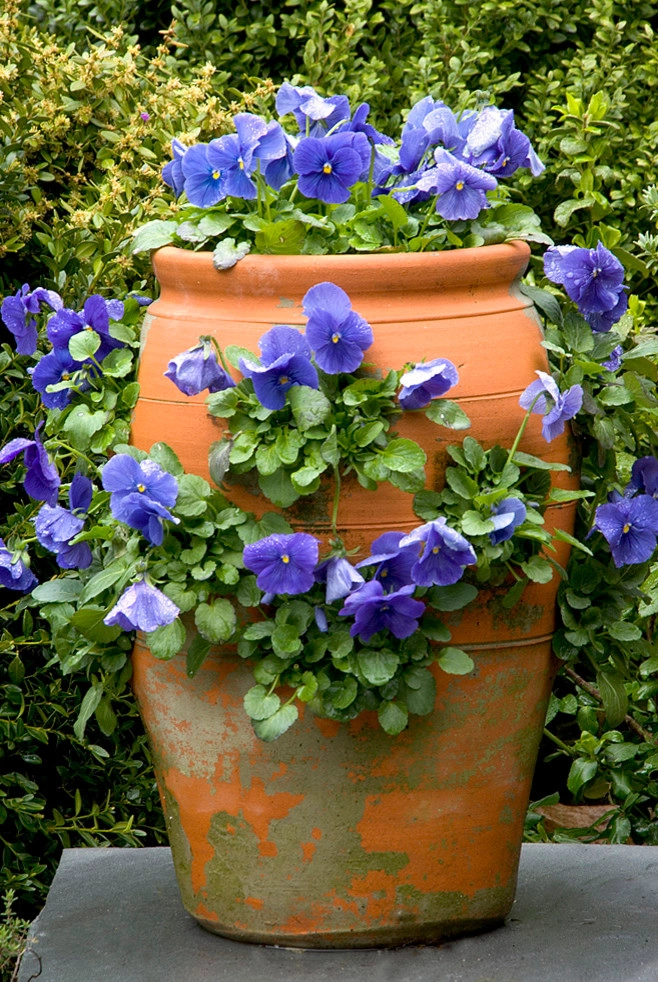 Artful Details by Craig Bergmann Landscape Design - Photo 9