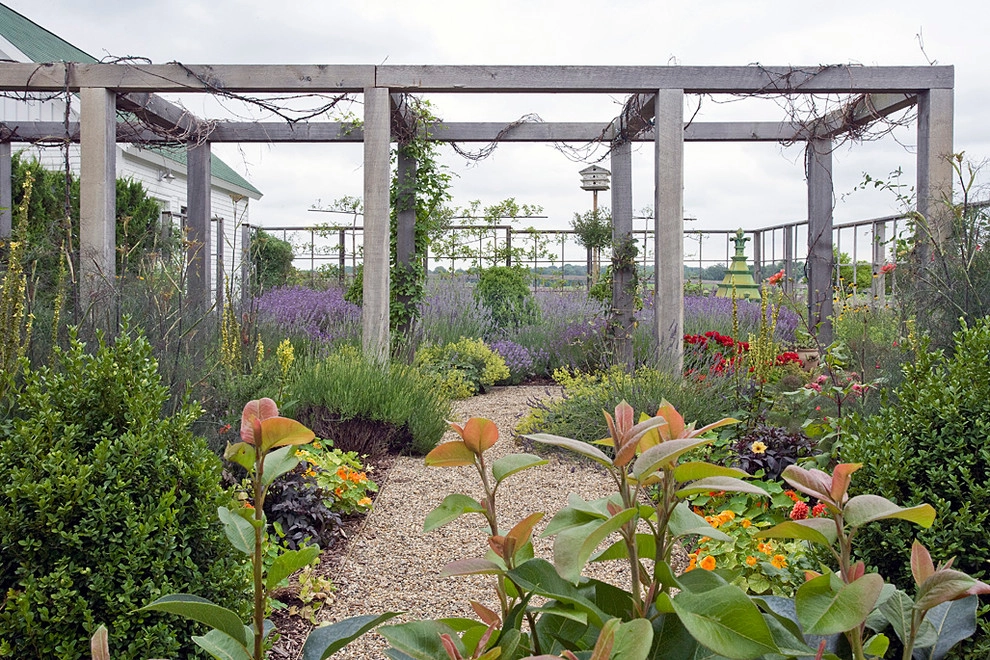 Contemporary Vineyard by Craig Bergmann Landscape Design - Photo 6