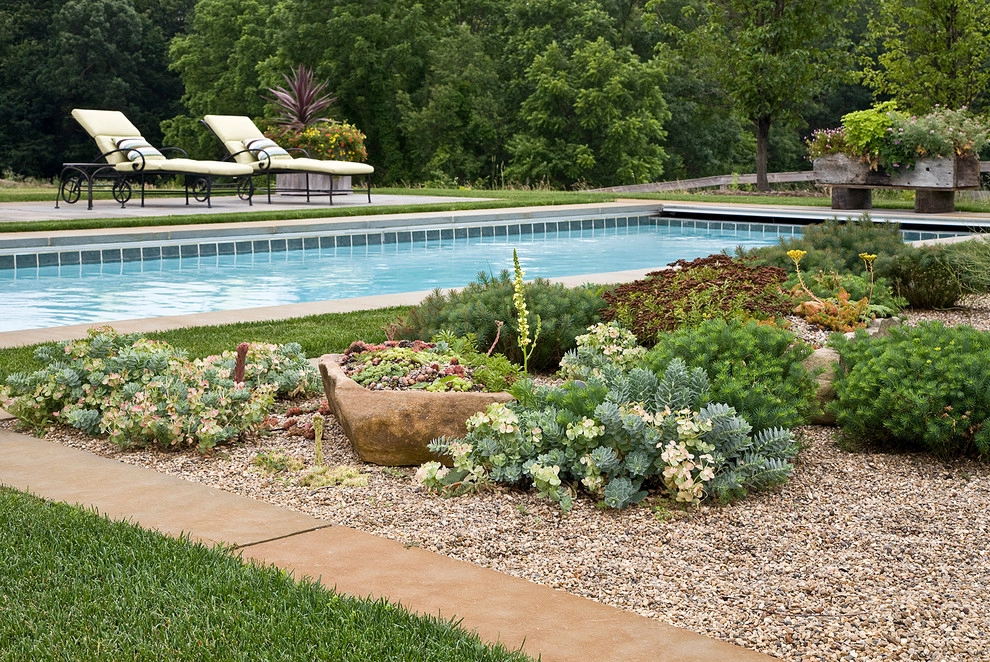 Contemporary Vineyard by Craig Bergmann Landscape Design - Photo 3