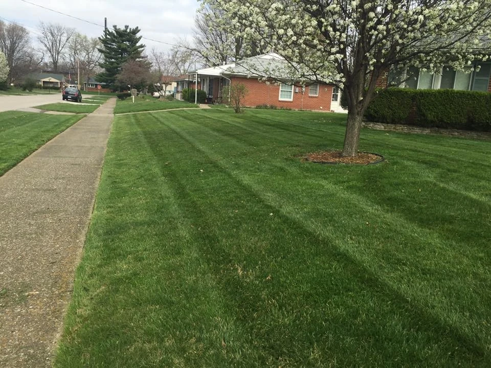 Stapps Lawn Care - Photo 3