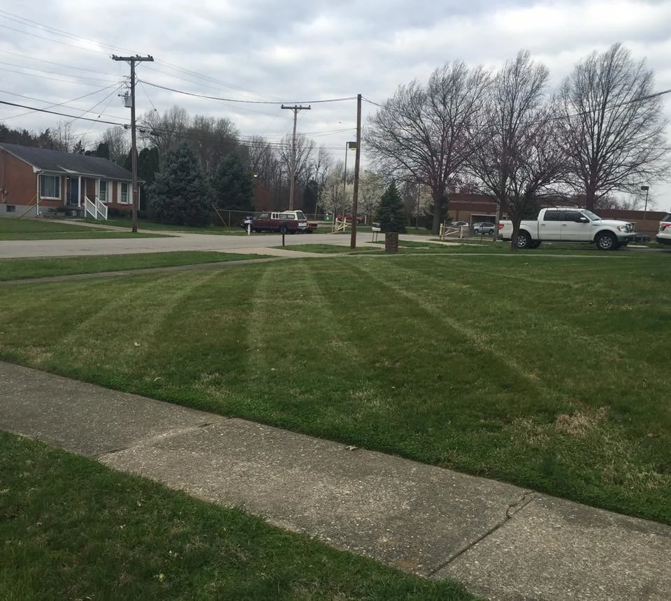 Stapps Lawn Care - Photo 6