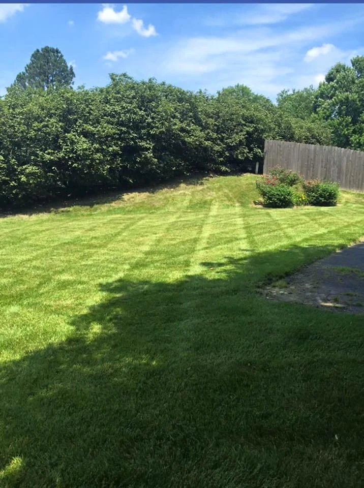 Stapps Lawn Care - Photo 5
