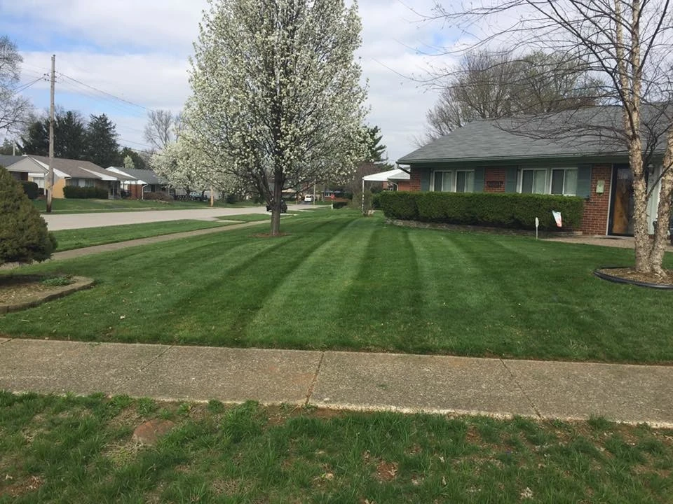 Stapps Lawn Care - Photo 4